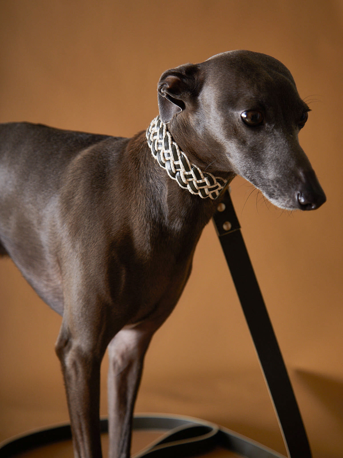 Collar en Cuero ÉTOILE