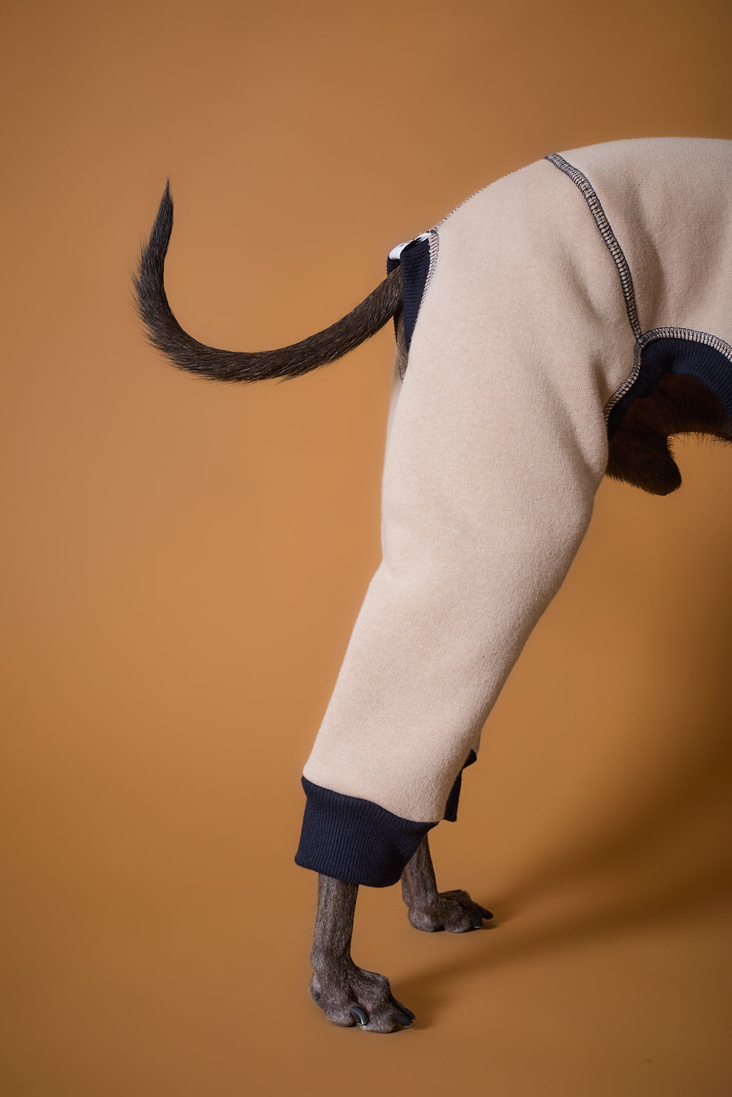 Enterizo Arena Cuello Tortuga Galgo Italiano / Whippet ORLY
