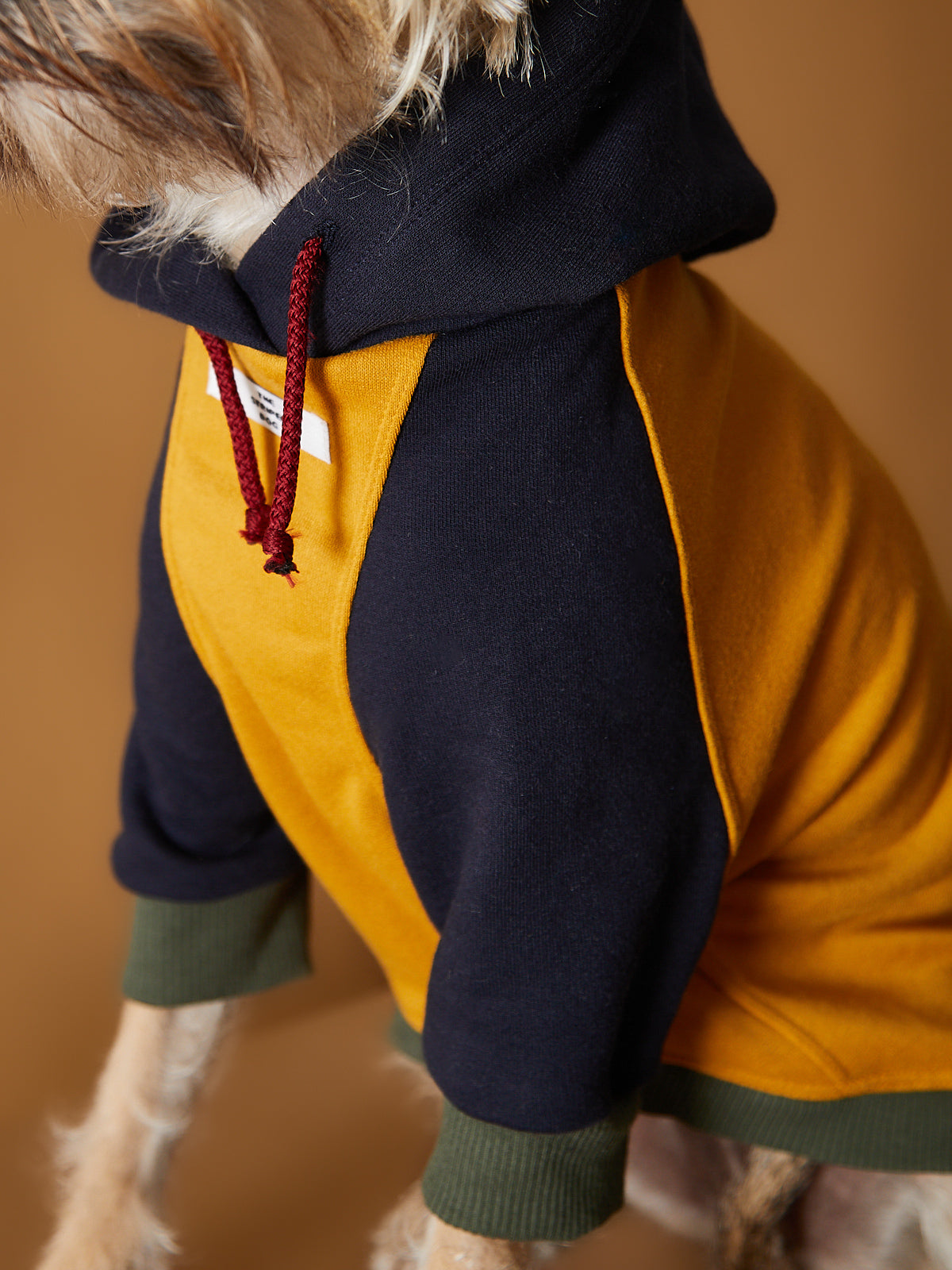 Buzo Tricolor GABRIELLE