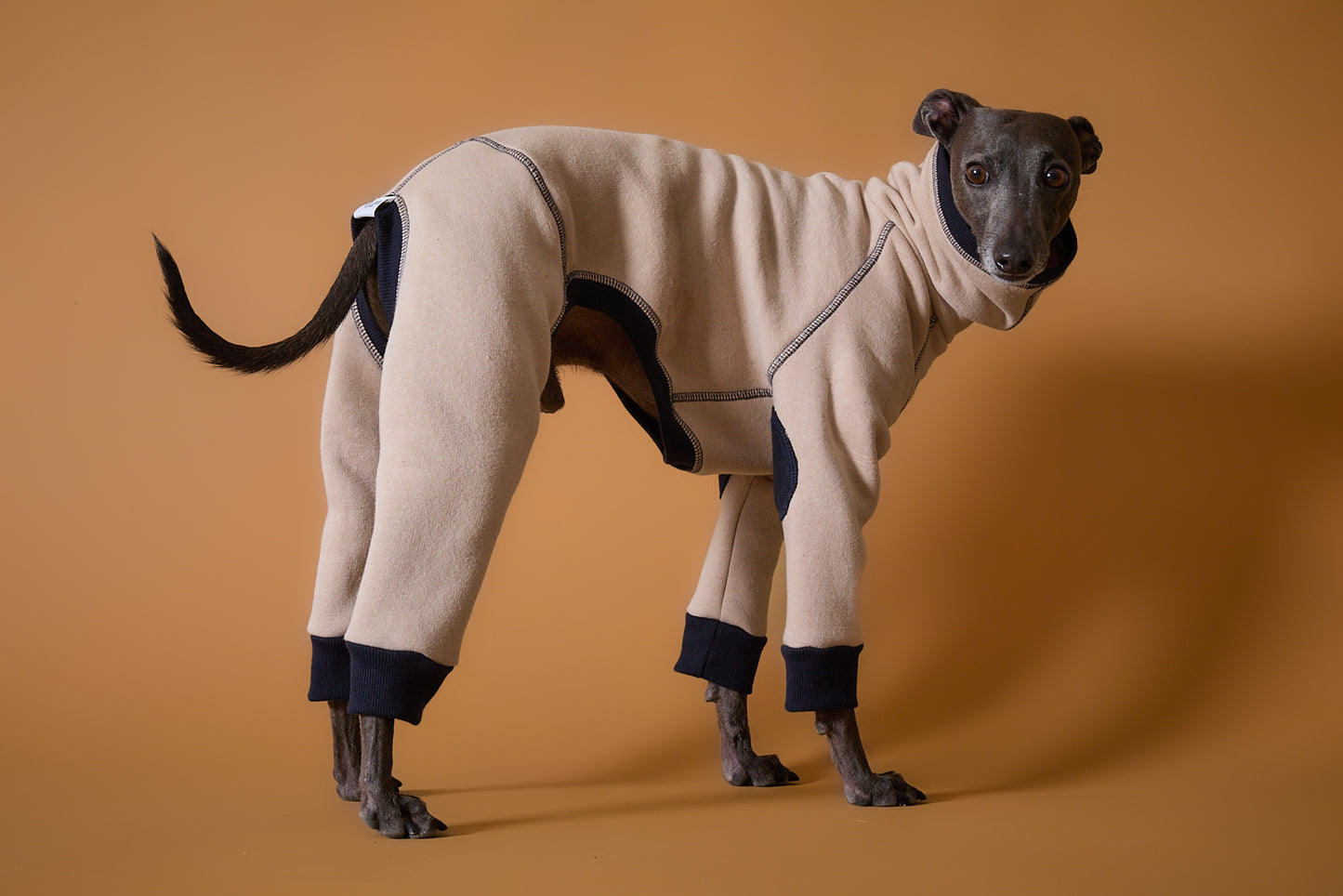 Enterizo Arena Cuello Tortuga Galgo Italiano / Whippet ORLY