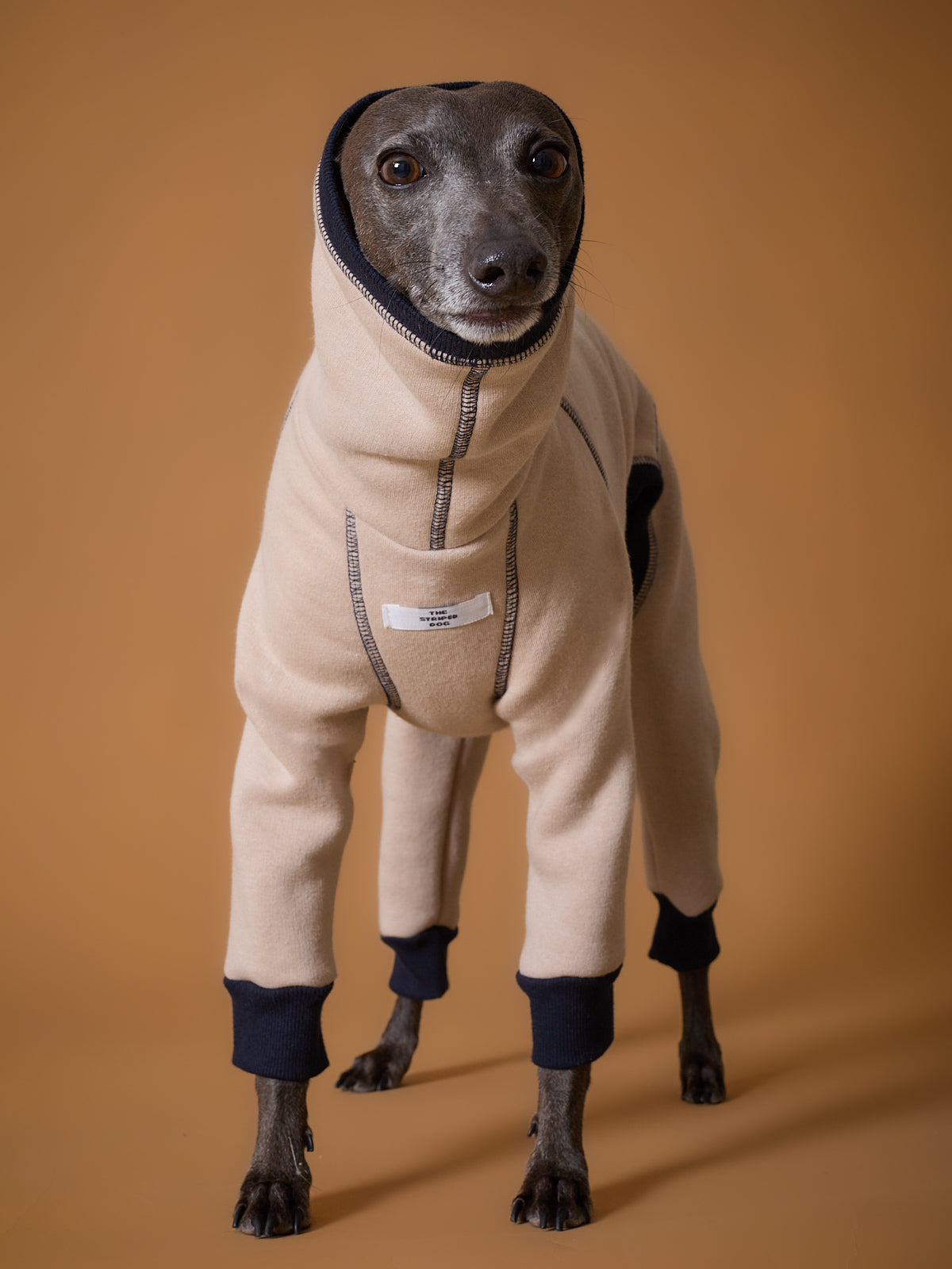 Enterizo Arena Cuello Tortuga Galgo Italiano / Whippet ORLY