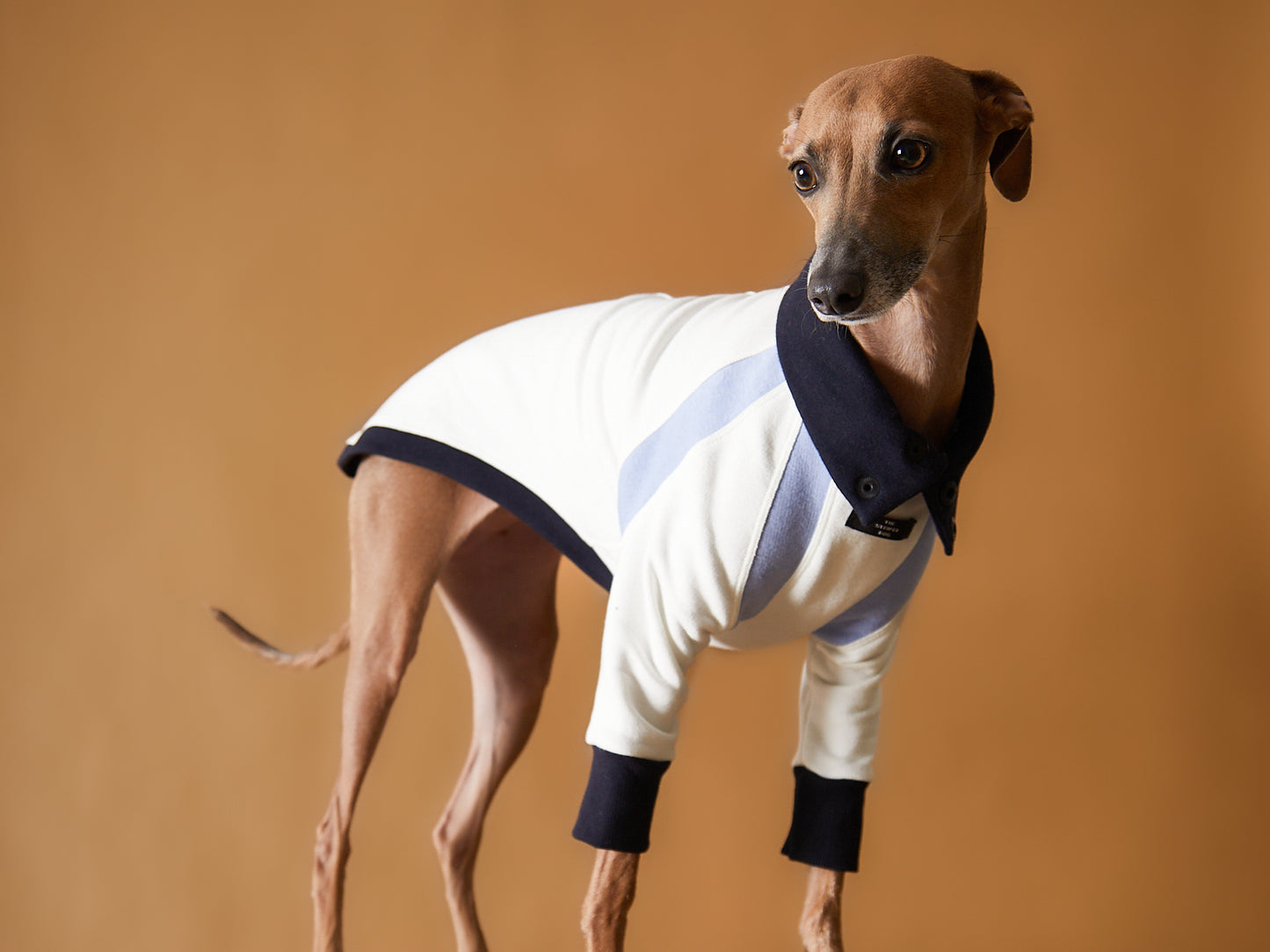 Sueter Tricolor Cuello Tortuga Galgo Italiano / Whippet EMILY
