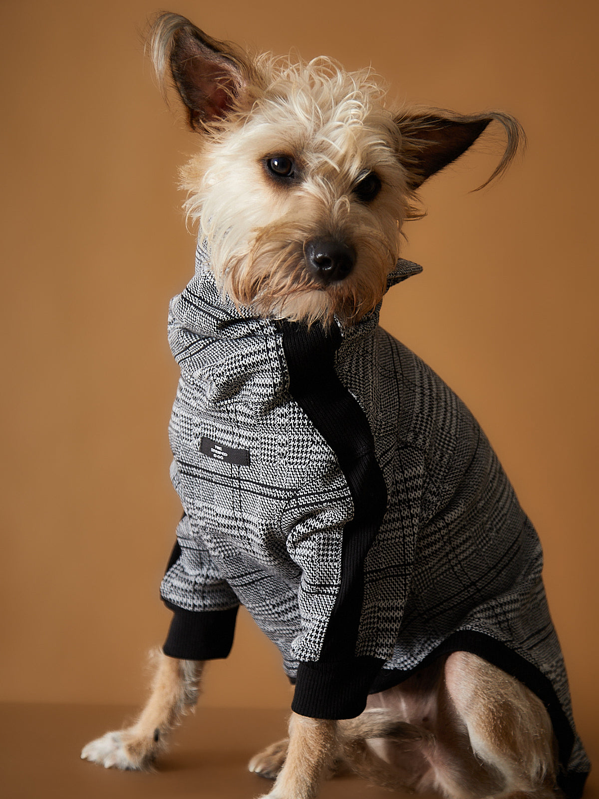 Sueter Cuello Tortuga en Jacquard a Cuadros YVES