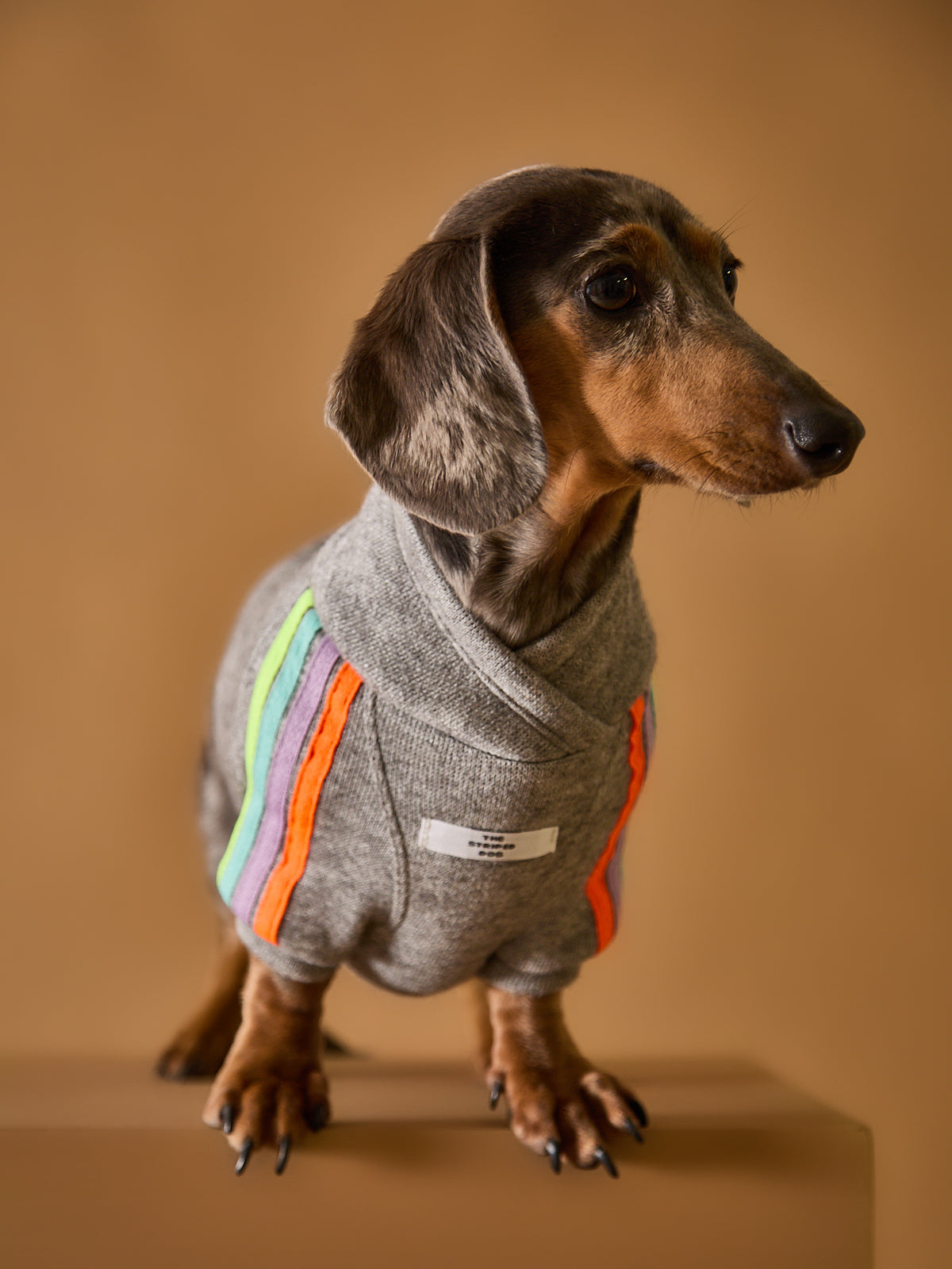 Sueter gris con detalles neon para salchichas