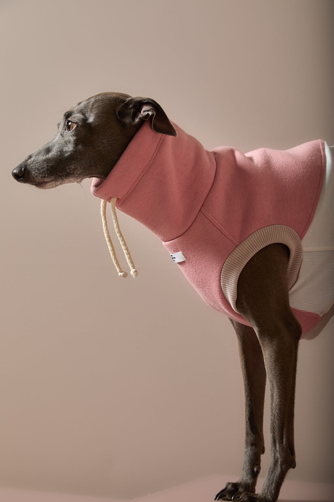 Chaleco Cuello Tortuga Tricolor Galgo Italiano / Whippet SHEAR