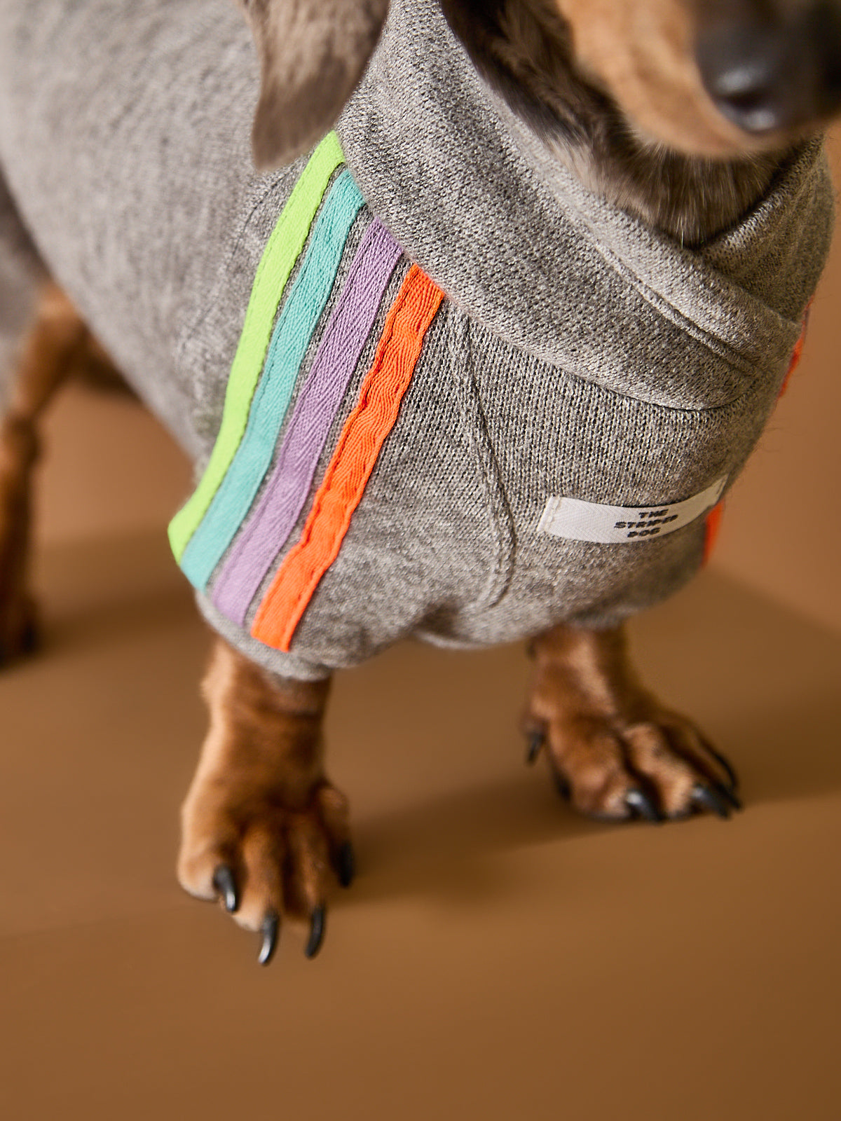 sueter gris con detalles neon para salchichas