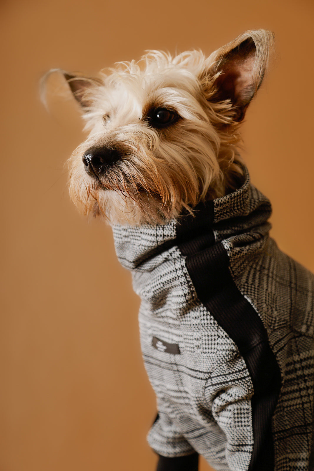 Sueter Cuello Tortuga en Jacquard a Cuadros YVES