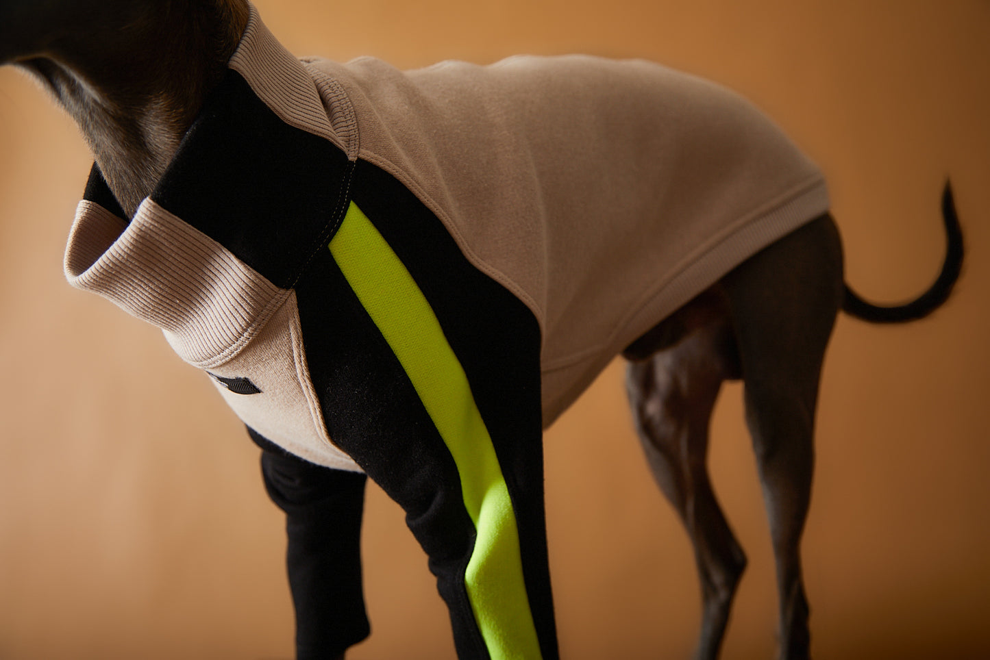 Sueter Cuello Tortuga Galgo Italiano / Whippet BELLE