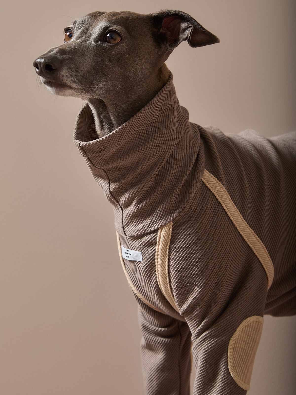 Sueter Taupe Cuello Tortuga Galgo Italiano / Whippet CAIRO