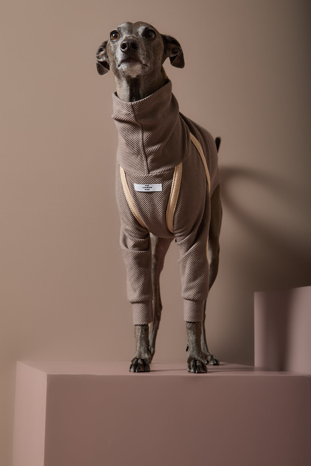 Sueter Taupe Cuello Tortuga Galgo Italiano / Whippet CAIRO