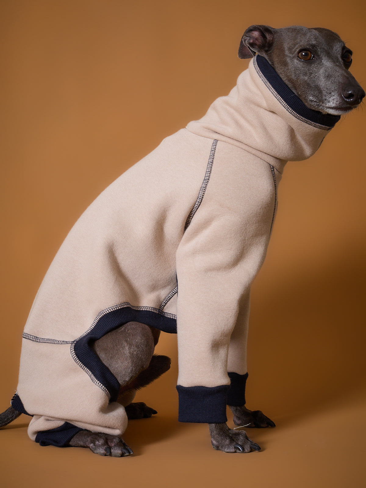 Enterizo Arena Cuello Tortuga Galgo Italiano / Whippet ORLY