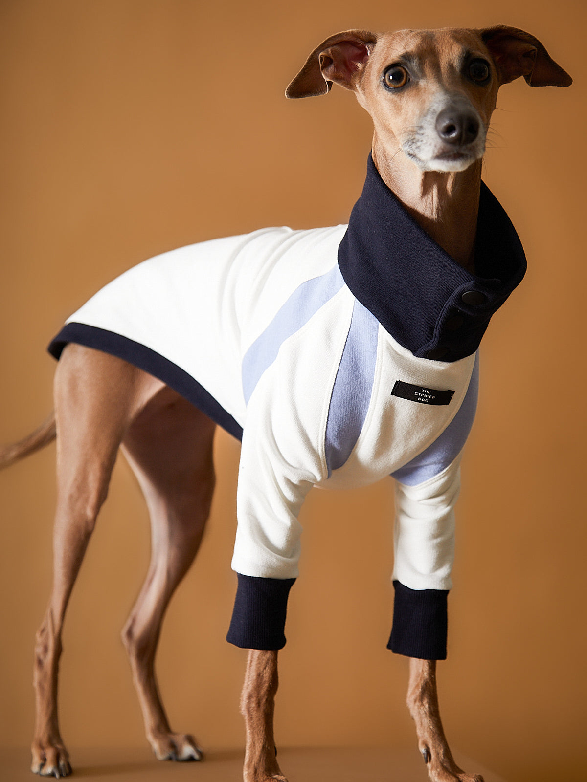 Sueter Tricolor Cuello Tortuga Galgo Italiano / Whippet EMILY