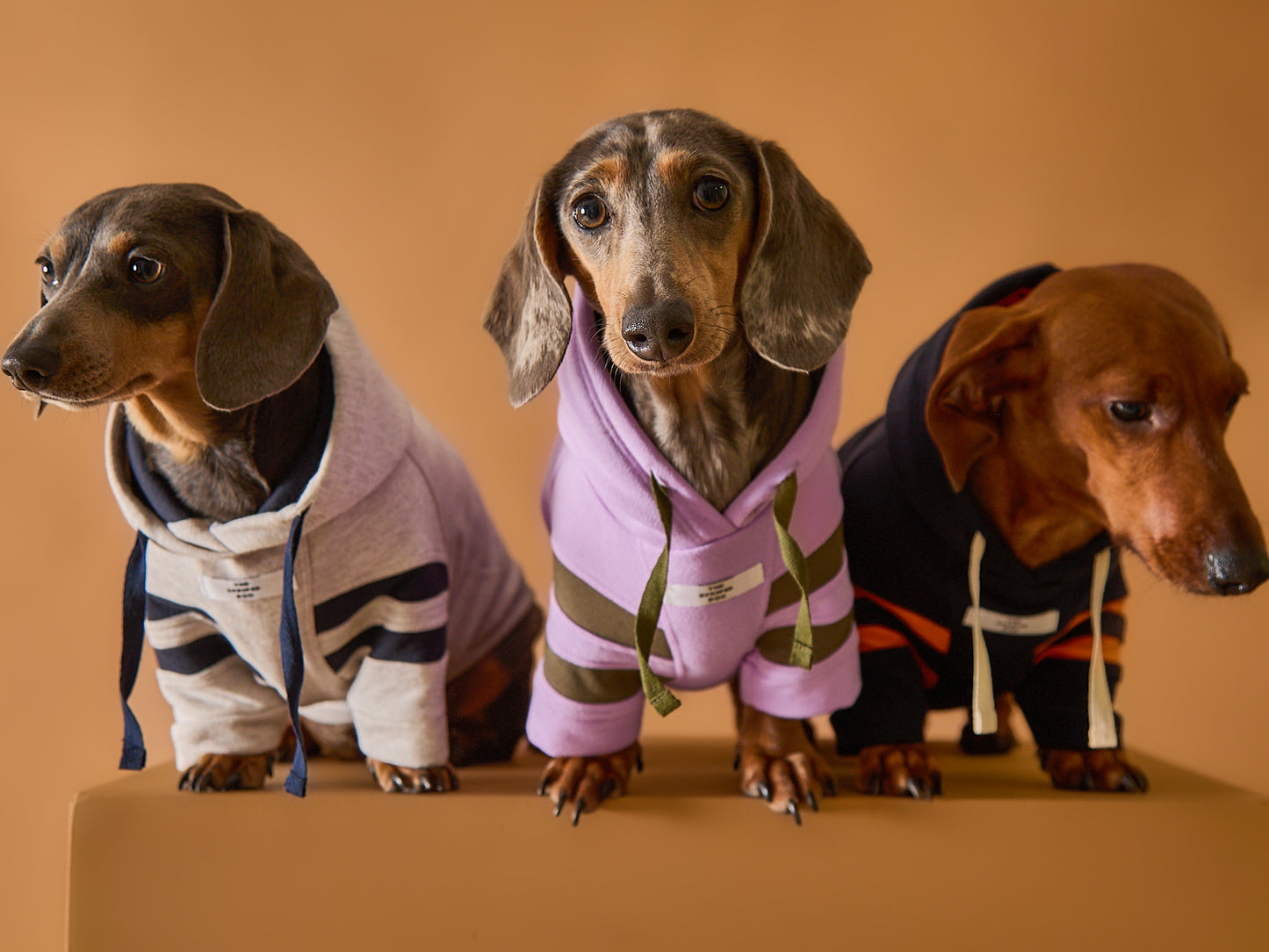 Buzo Capucha Lila BRIE