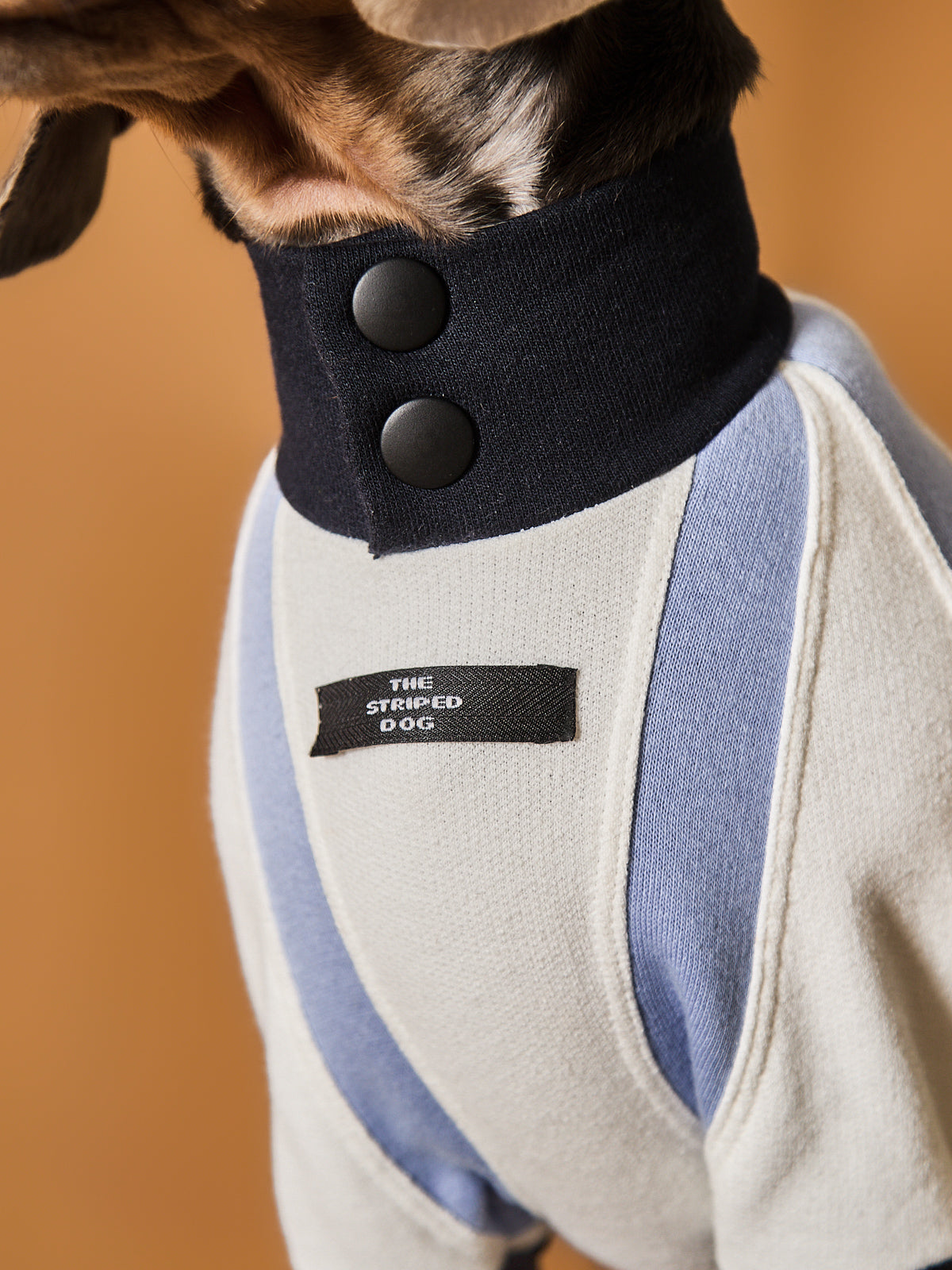 Sueter Tricolor Cuello Tortuga Salchicha EMILY