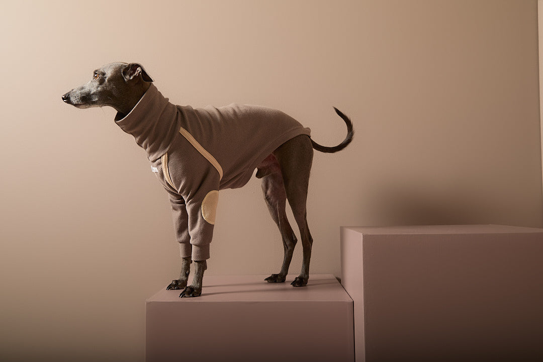 Sueter Taupe Cuello Tortuga Galgo Italiano / Whippet CAIRO