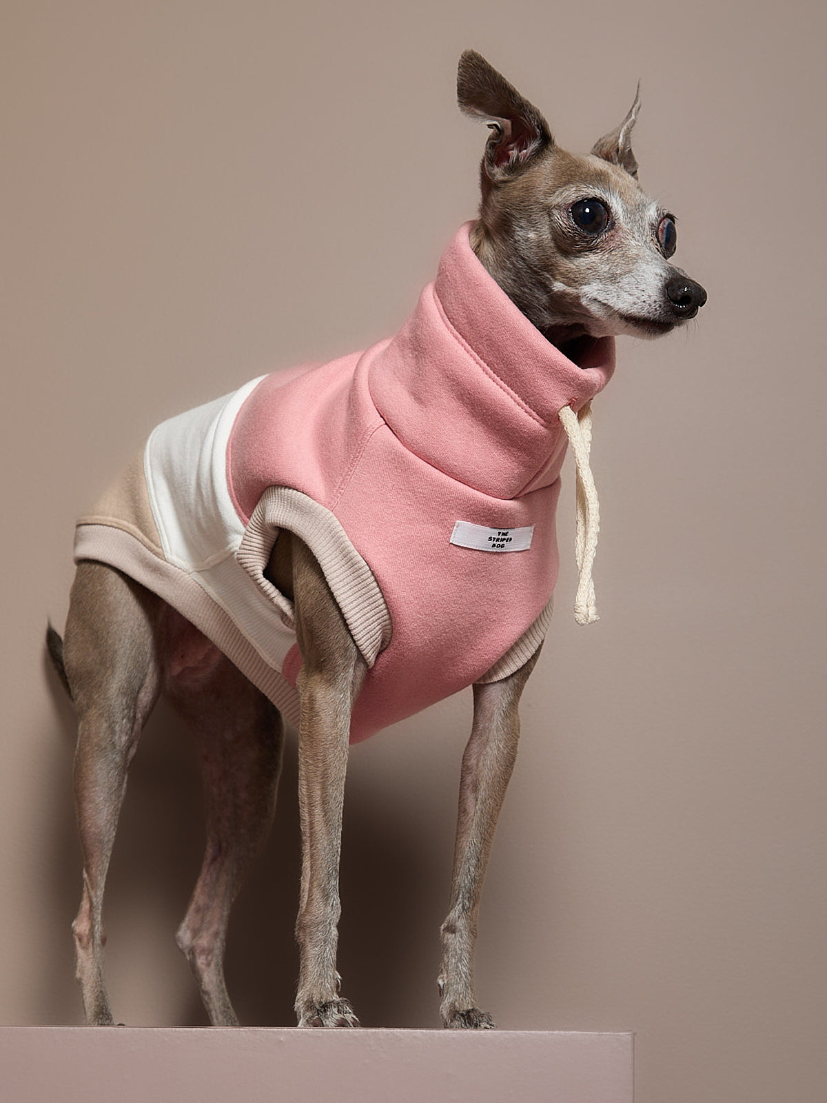 Chaleco Cuello Tortuga Tricolor Galgo Italiano / Whippet SHEAR