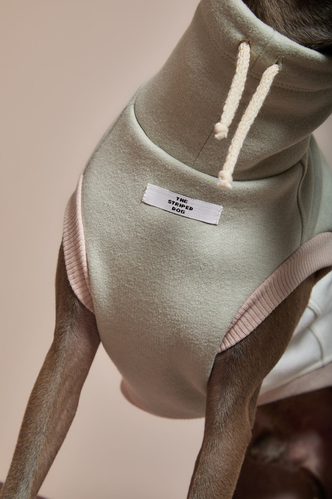 Chaleco Cuello Tortuga Tricolor Galgo Italiano / Whippet SHEAR