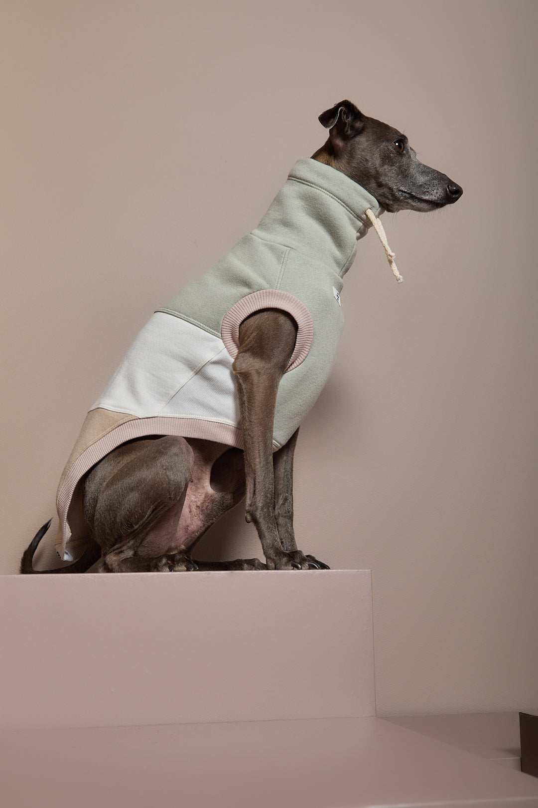 Chaleco Cuello Tortuga Tricolor Galgo Italiano / Whippet SHEAR