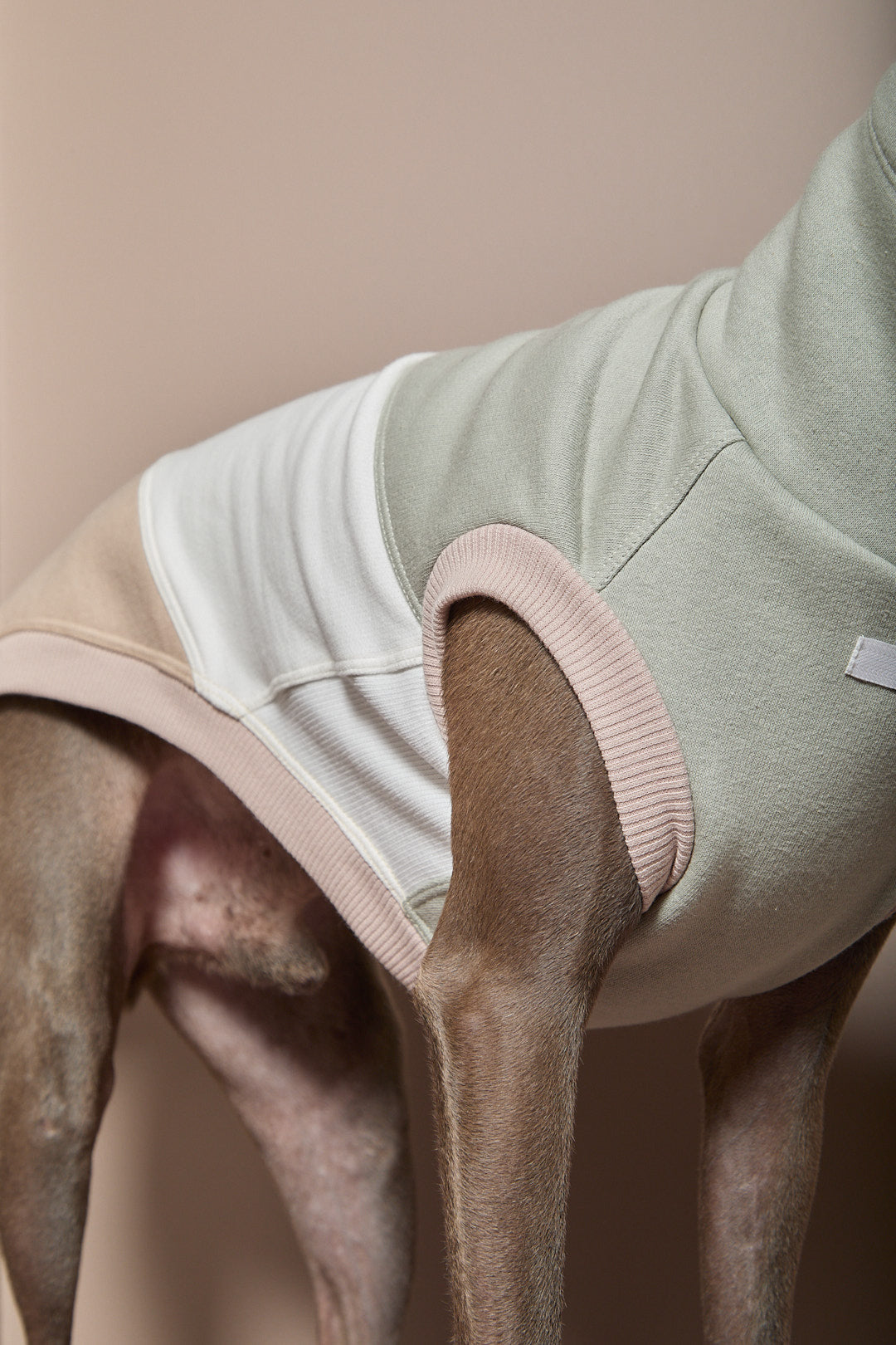Chaleco Cuello Tortuga Tricolor Galgo Italiano / Whippet SHEAR