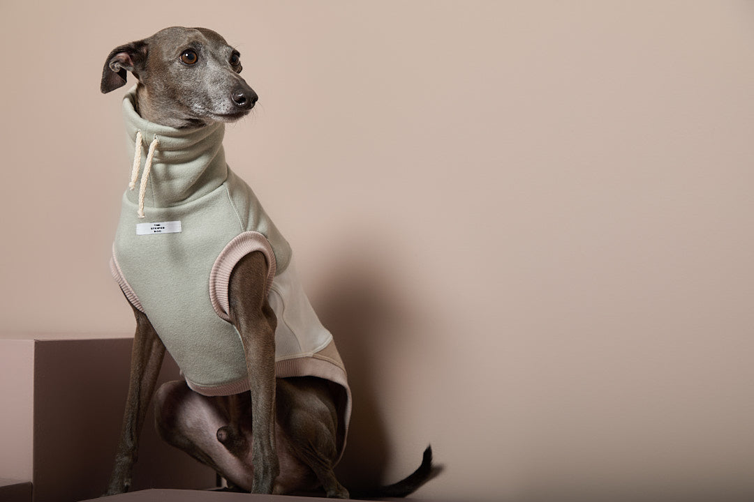 Chaleco Cuello Tortuga Tricolor Galgo Italiano / Whippet SHEAR