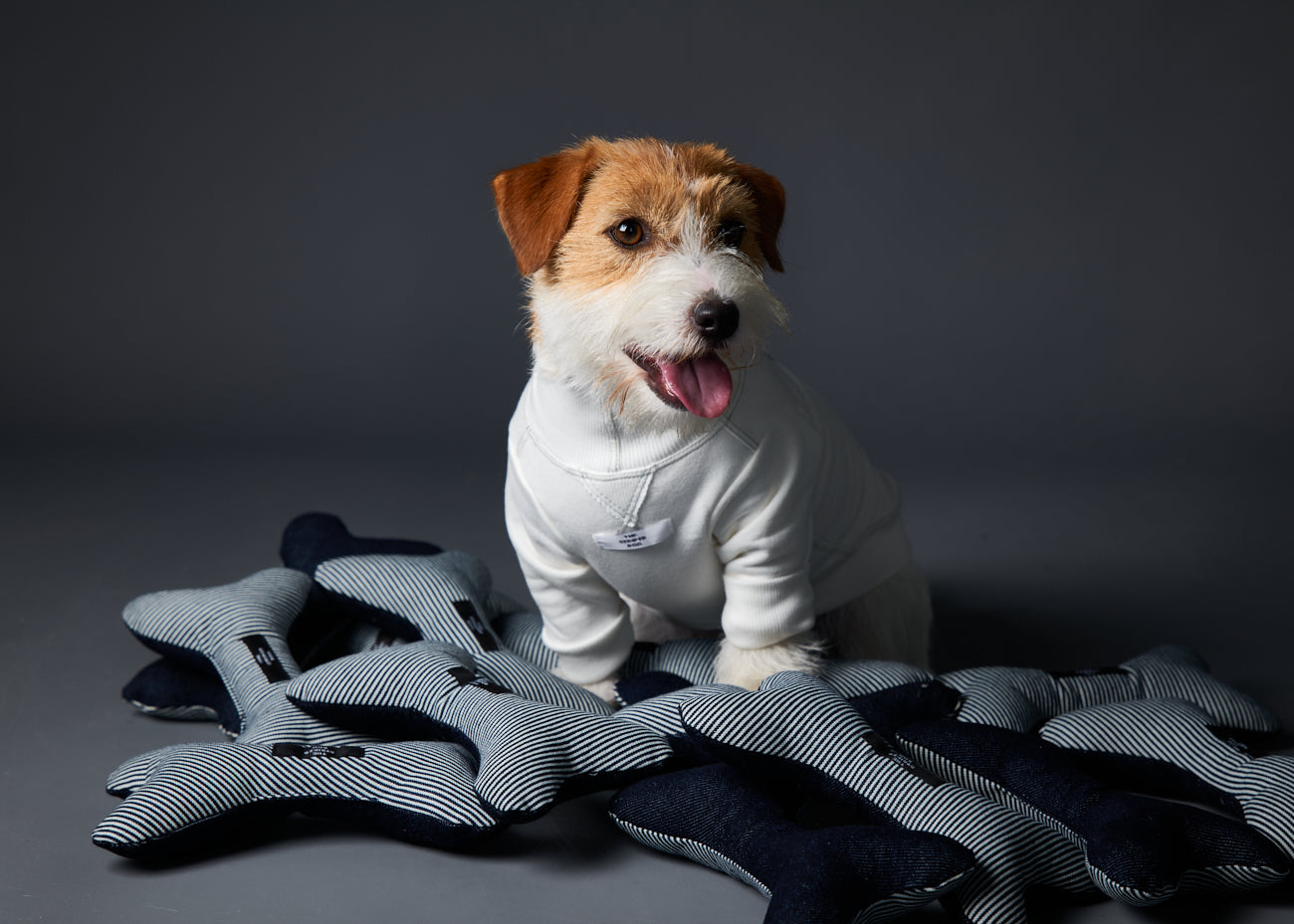 Juguete Relleno en Forma de Hueso UNIVERSAL