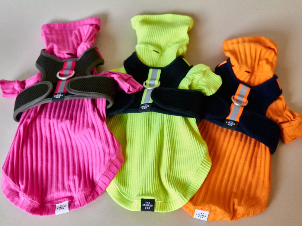 Arnes Neopreno Negro CHROMA