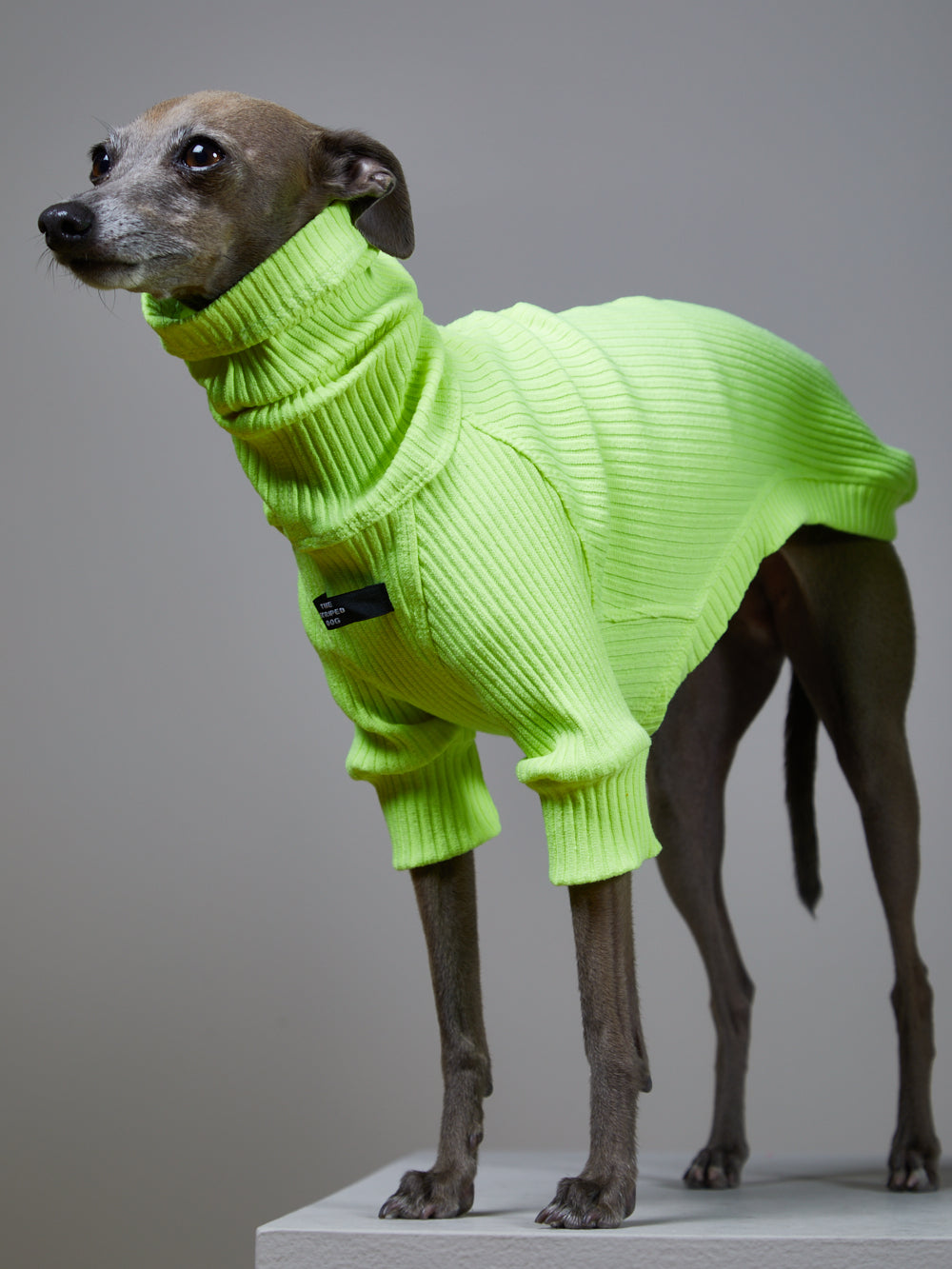 Sueter Verde Neon Cuello Tortuga en Rib - Galgo Italiano / Whippet NEON