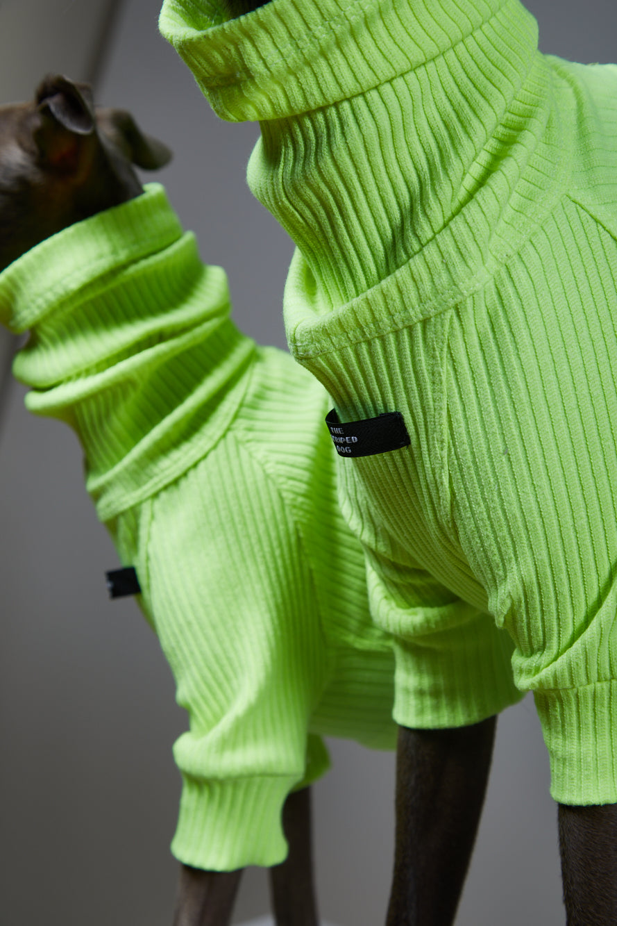 Sueter Verde Neon Cuello Tortuga en Rib - Galgo Italiano / Whippet NEON