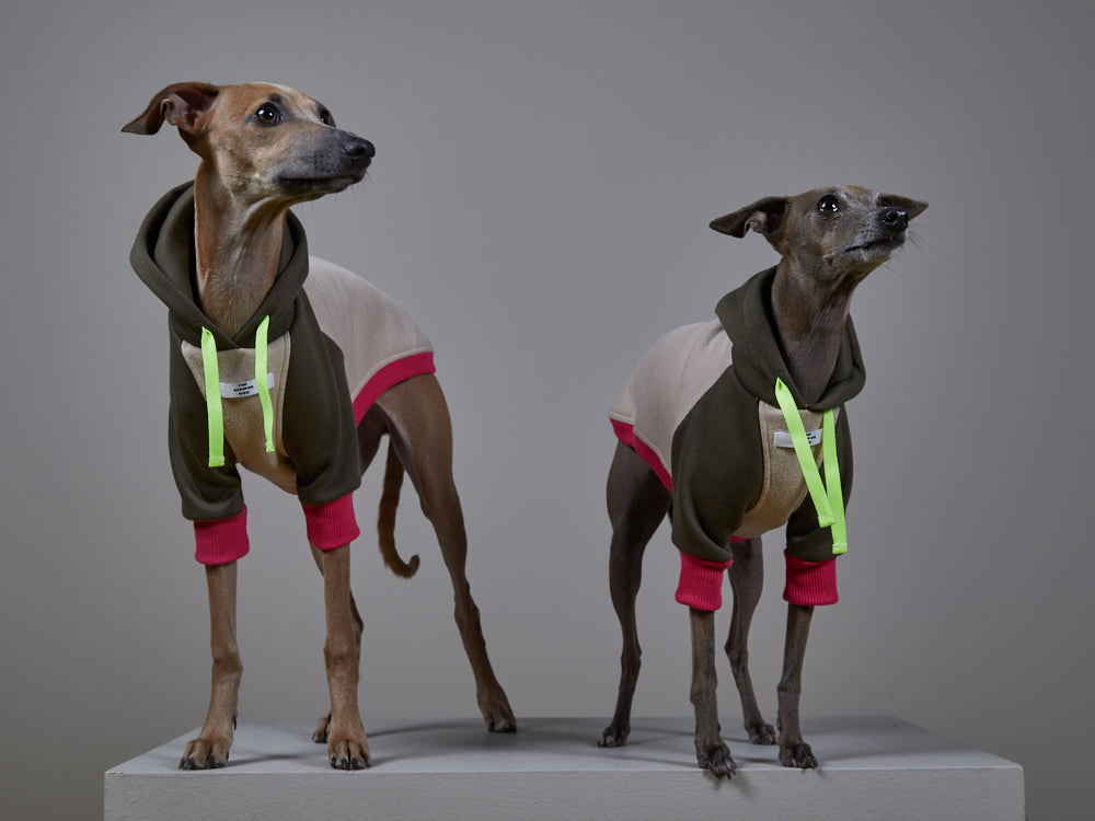 Buzo Capucha Multicolor - Galgo Italiano / Whippet BLUSH