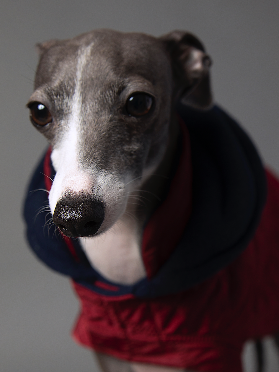 Chaqueta con Capucha NOHO