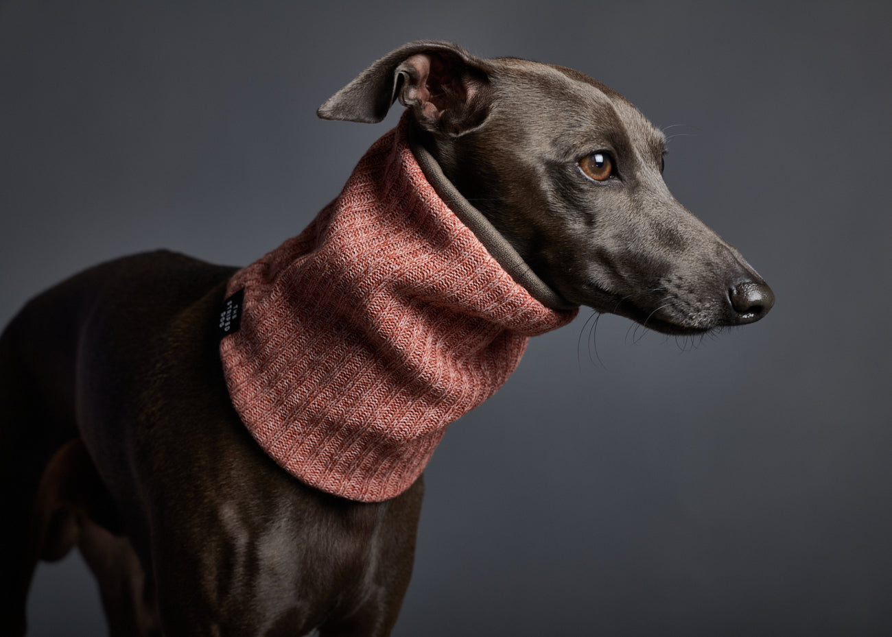 Cuello Naranja Tipo Bufanda Reversible LANCASTER