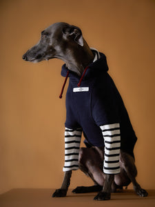 Buzo azul oscuro para galgo italiano