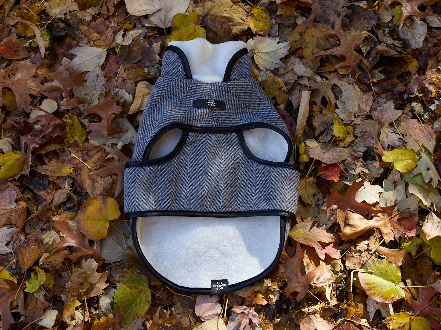 Chaqueta Gris en Espina de Pescado TWILL