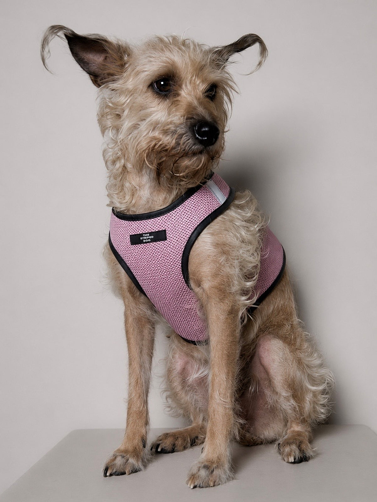 Arnes de Malla Rosado COBBLESTONE para Perro Standard