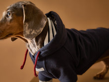 Cargar imagen en el visor de la galería, Buzo azul con capucha para perros
