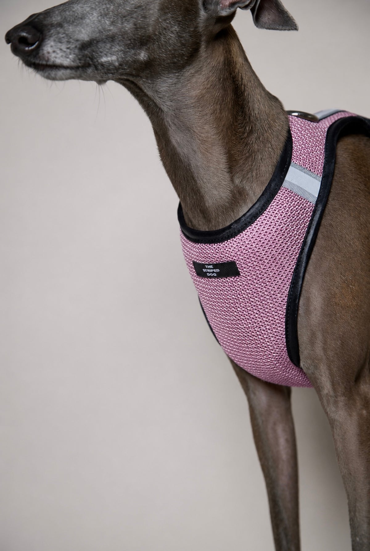 Arnes de Malla Rosado COBBLESTONE para Galgo Italiano / Whippet