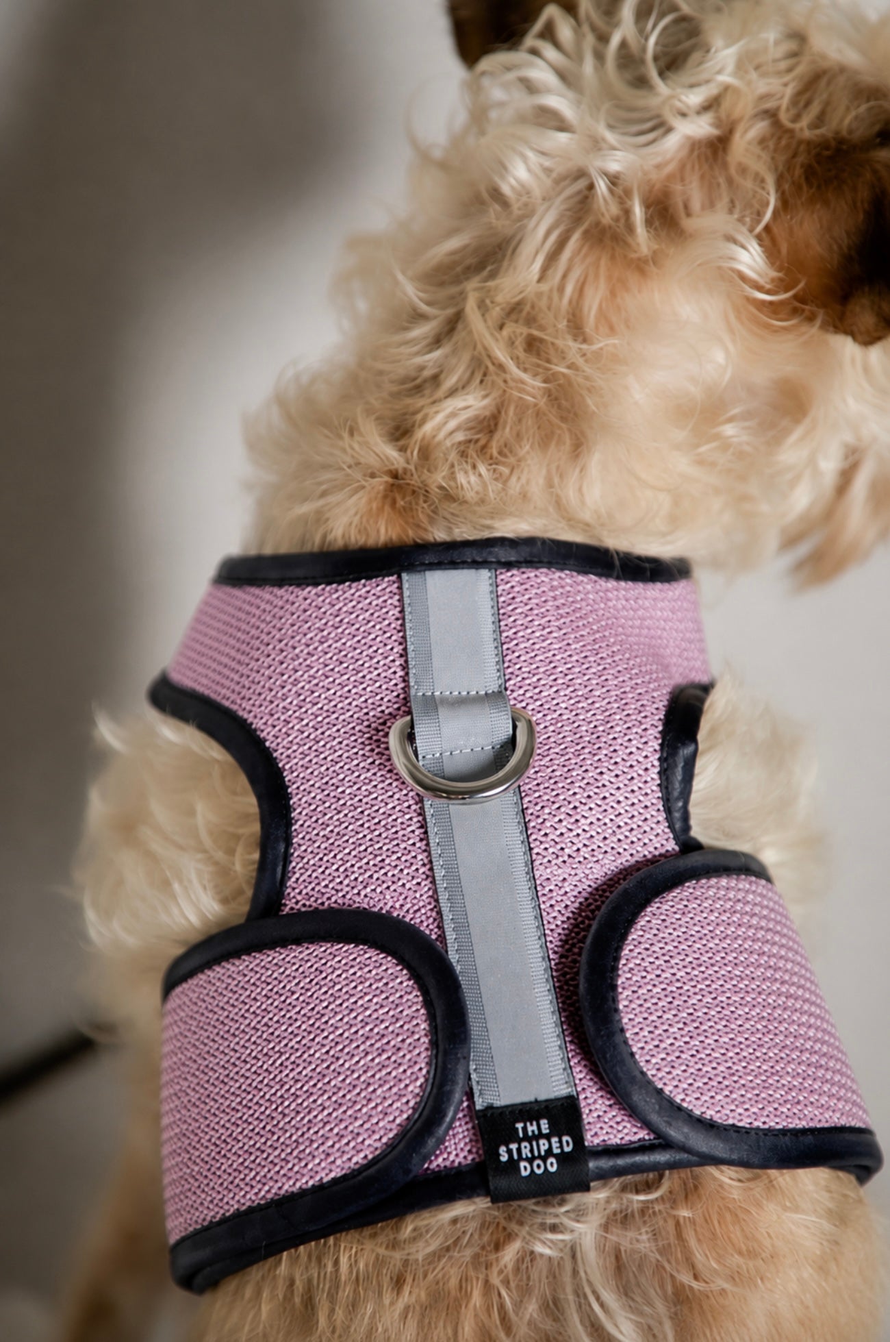 Arnes de Malla Rosado COBBLESTONE para Perro Standard