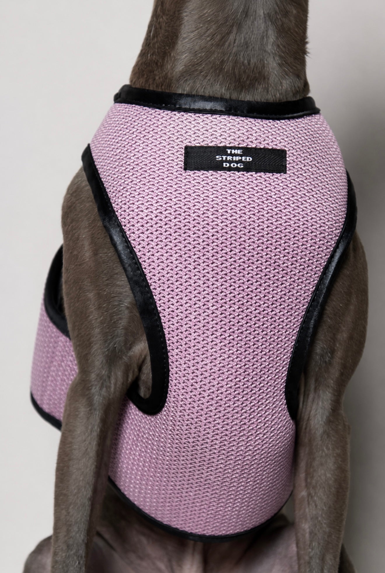 Arnes de Malla Rosado COBBLESTONE para Galgo Italiano / Whippet