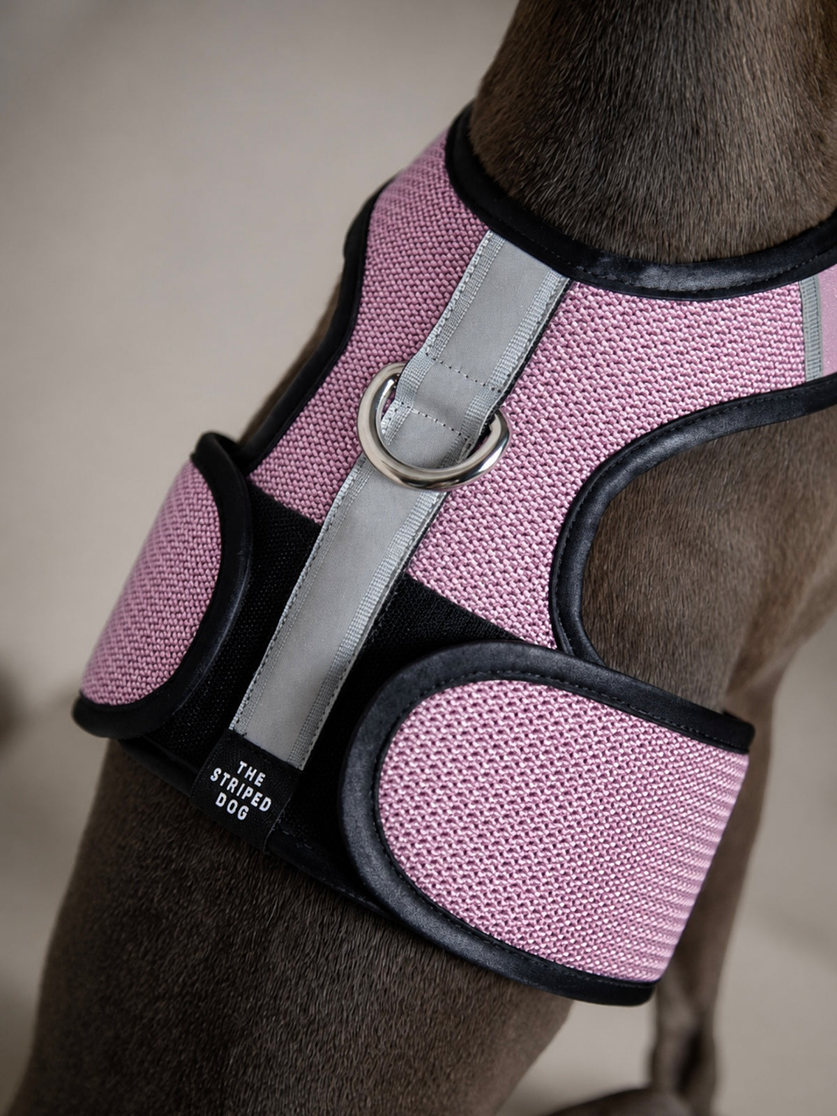 Arnes de Malla Rosado COBBLESTONE para Galgo Italiano / Whippet