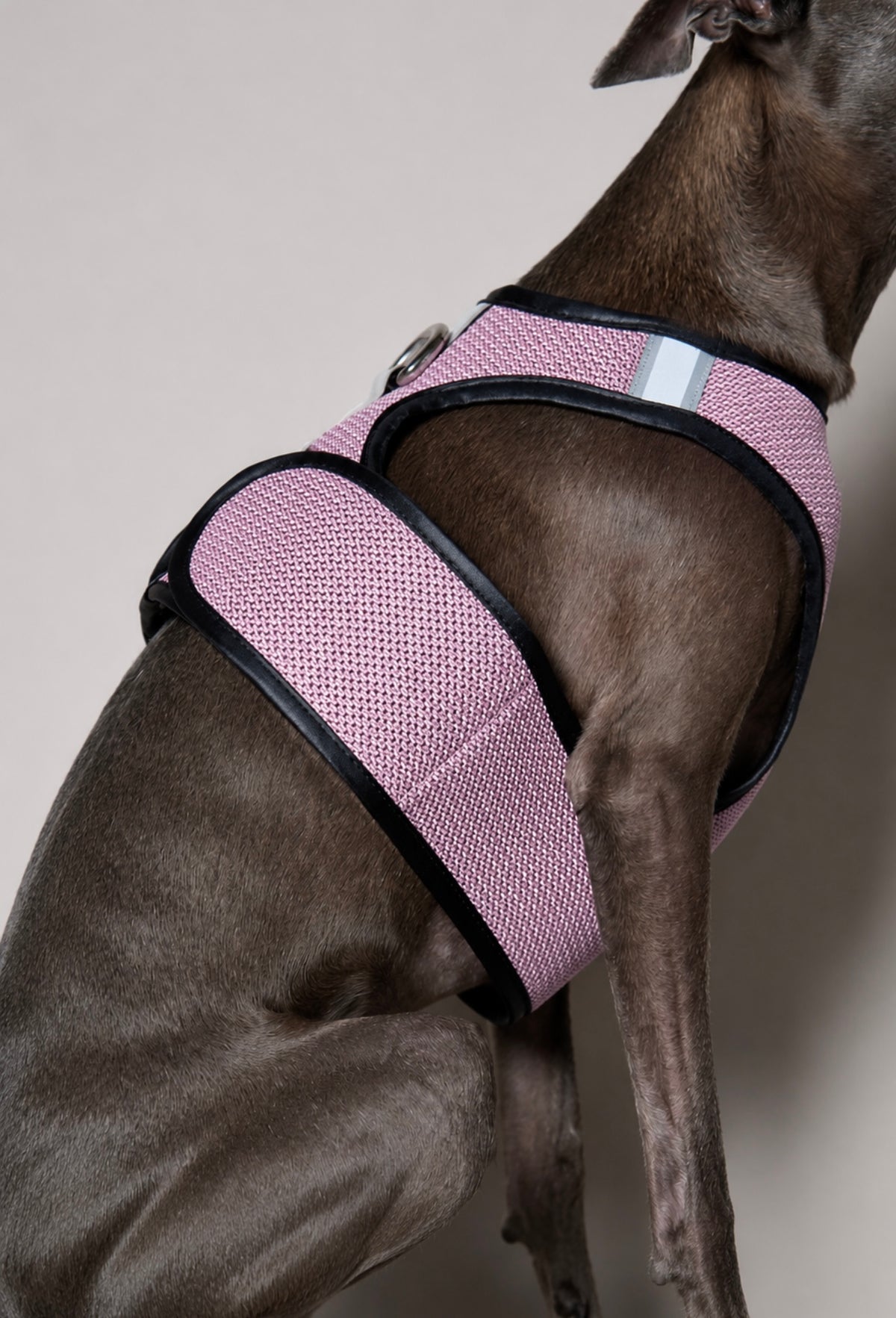 Arnes de Malla Rosado COBBLESTONE para Galgo Italiano / Whippet