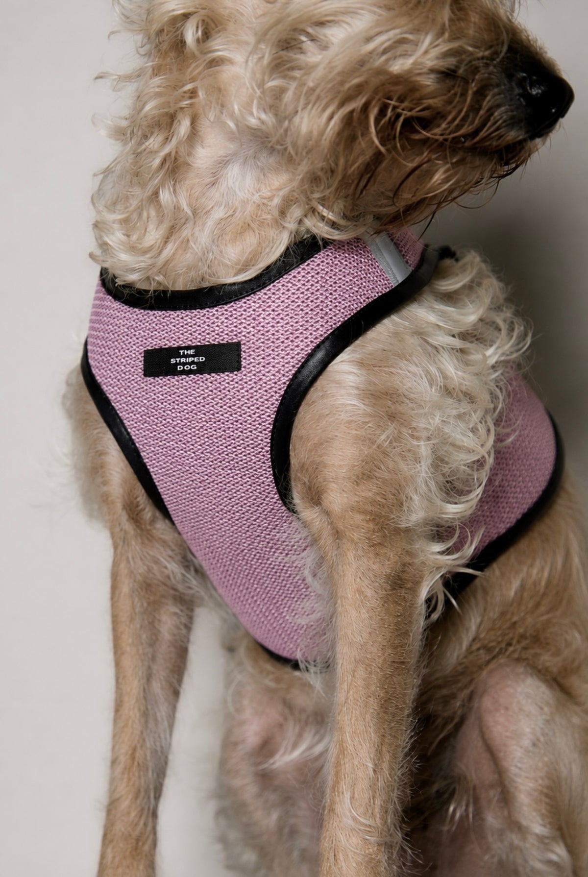 Arnes de Malla Rosado COBBLESTONE para Perro Standard