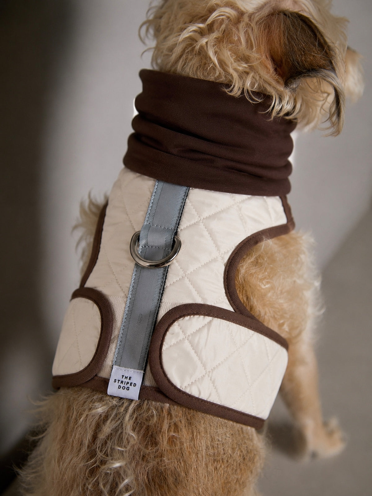 Arnes Cuello Tortuga Beige GADE para Perro Standard