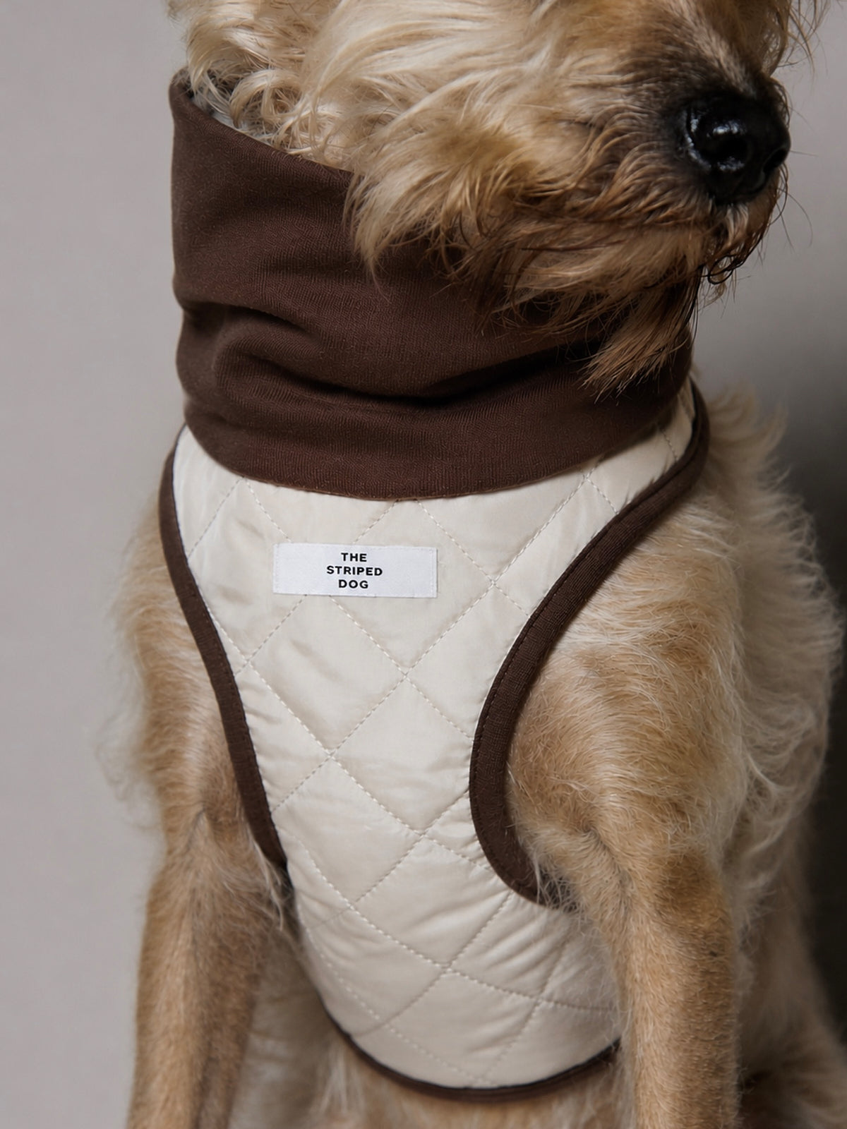 Arnes Cuello Tortuga Beige GADE para Perro Standard