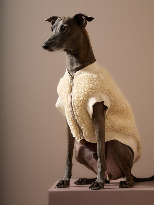 Chaleco en Sherpa Marfil Galgo Italiano / Whippet MILAN