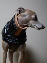 Cargar imagen en el visor de la galería, Chaqueta Negra Impermeable Cuello Tortuga Galgo Italiano / Whippet VENICE
