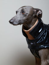 Cargar imagen en el visor de la galería, Chaqueta Negra Impermeable Cuello Tortuga Galgo Italiano / Whippet VENICE
