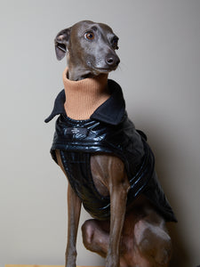 Chaqueta Negra Impermeable Cuello Tortuga Galgo Italiano / Whippet VENICE