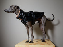 Cargar imagen en el visor de la galería, Chaqueta Negra Impermeable Cuello Tortuga Galgo Italiano / Whippet VENICE
