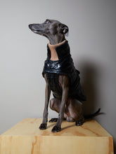 Cargar imagen en el visor de la galería, Chaqueta Negra Impermeable Cuello Tortuga Galgo Italiano / Whippet VENICE
