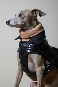 Chaqueta Negra Impermeable Cuello Tortuga Galgo Italiano / Whippet VENICE